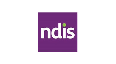 NdIS WS